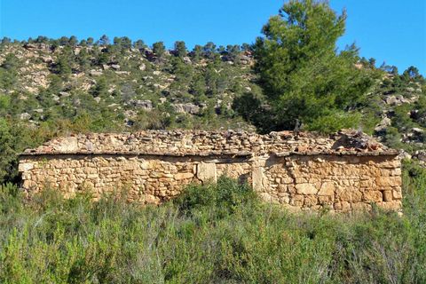Finca i Maella, Zaragoza, Maella - € 24.000 | Ref: 0721 - foto 13