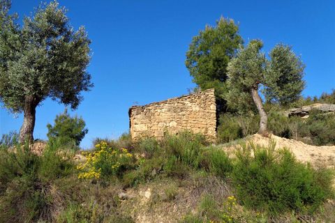 Finca i Maella, Zaragoza, Maella - € 24.000 | Ref: 0721 - foto 11
