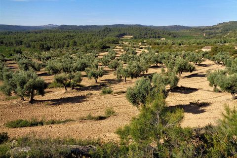 Finca i Maella, Zaragoza, Maella - € 24.000 | Ref: 0721 - foto 20
