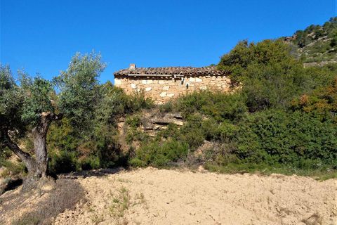 Finca i Maella, Zaragoza, Maella - € 24.000 | Ref: 0721 - foto 6