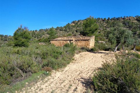 Finca i Maella, Zaragoza, Maella - € 24.000 | Ref: 0721 - foto 12
