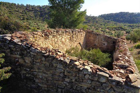 Finca i Maella, Zaragoza, Maella - € 24.000 | Ref: 0721 - foto 14