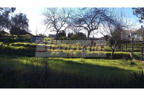 Grond in Agueda, Aveiro, Agueda - € 63.000 | Ref: AG 3232 - foto 2