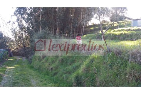 Grond in Agueda, Aveiro, Agueda - € 63.000 | Ref: AG 3232 - foto 3