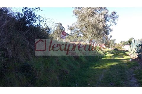 Grond in Agueda, Aveiro, Agueda - € 63.000 | Ref: AG 3232 - foto 4