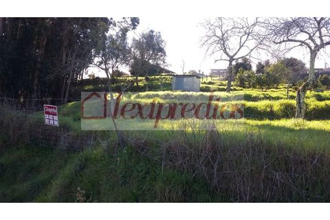 Grond in Agueda, Aveiro, Agueda - € 63.000 | Ref: AG 3232 - foto 5