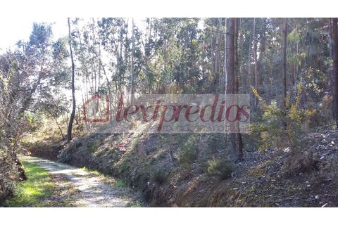 Helårsgrund i Agueda, Aveiro, Agueda - € 38.000 | Ref: AG 3233 - foto 2