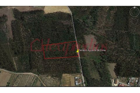 Helårsgrund i Aguada de Cima, Aveiro, Aguada de Cima - € 70.000 | Ref: AG 3049 - foto 2