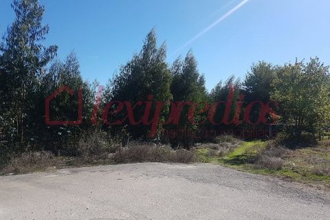 Grond in Agueda, Aveiro, Agueda - € 14.000 | Ref: AG 3066 - foto 2