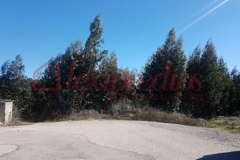 Grond in Agueda, Aveiro, Agueda - € 14.000 | Ref: AG 3066 - foto 3