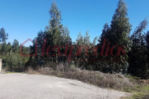 Grond in Agueda, Aveiro, Agueda - € 14.000 | Ref: AG 3066 - foto 4