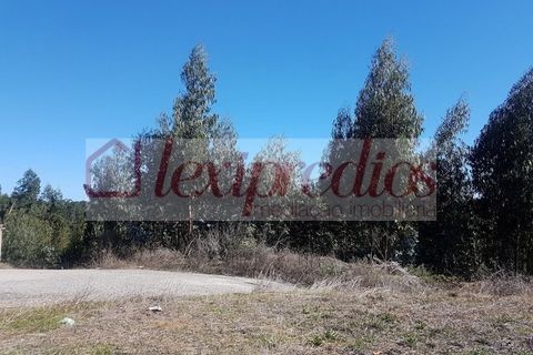 Grond in Agueda, Aveiro, Agueda - € 14.000 | Ref: AG 3066 - foto 6