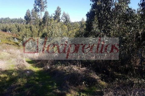 Grond in Agueda, Aveiro, Agueda - € 14.000 | Ref: AG 3066 - foto 7
