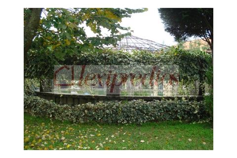 Cortijo i Sever do Vouga, Aveiro, Sever do Vouga - € 1.250.000 | Ref: 1882 - foto 15