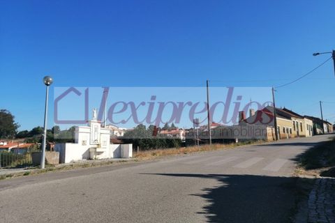 Tomt i Barro, Aveiro, Barro - € 38 000 | Ref: 3452 - foto 3