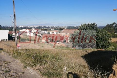 Tomt i Barro, Aveiro, Barro - € 38 000 | Ref: 3452 - foto 5