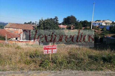 Tomt i Barro, Aveiro, Barro - € 38 000 | Ref: 3452 - foto 6