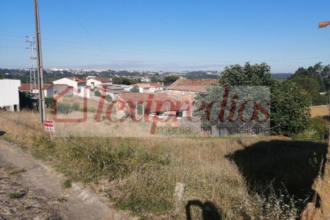 Tomt i Barro, Aveiro, Barro - € 38 000 | Ref: 3452 - foto 7