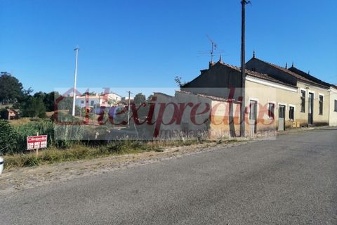 Tomt i Barro, Aveiro, Barro - € 38 000 | Ref: 3452 - foto 8