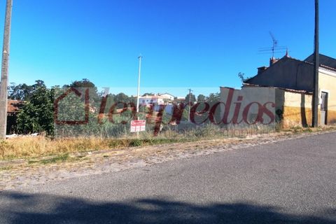 Tomt i Barro, Aveiro, Barro - € 38 000 | Ref: 3452 - foto 12