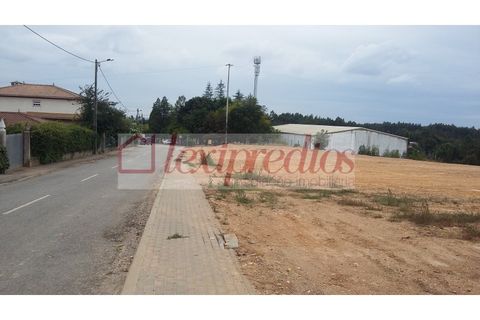 Helårsgrund i Agueda, Aveiro, Agueda - € 106.500 | Ref: AG 3291 - foto 2