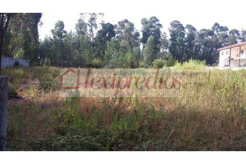 Helårsgrund i Anadia, Aveiro, Anadia - € 45.000 | Ref: AG 3015 - foto 2