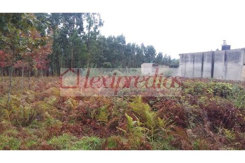 Helårsgrund i Aguada de Cima, Aveiro, Aguada de Cima - € 42.000 | Ref: AG 3227 - foto 3