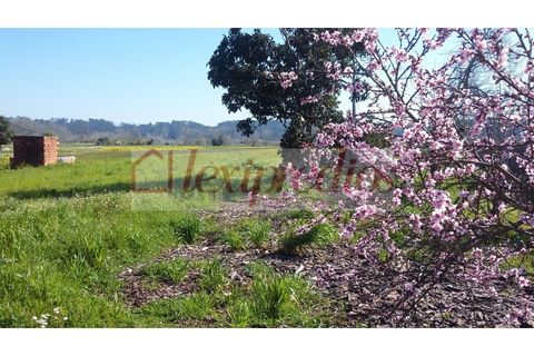 Helårsgrund i Fermentelos, Aveiro, Fermentelos - € 62.500 | Ref: AG 3105 - foto 2