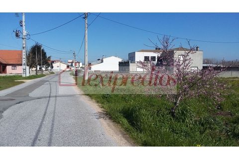 Helårsgrund i Fermentelos, Aveiro, Fermentelos - € 62.500 | Ref: AG 3105 - foto 3