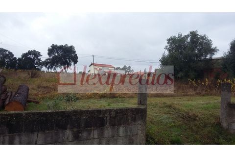 Helårsgrund i Aguada de Cima, Aveiro, Aguada de Cima - € 47.500 | Ref: AG 3226 - foto 2