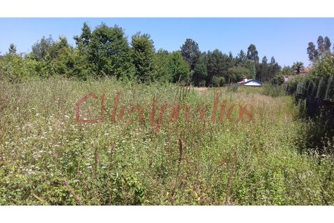 Helårsgrund i Agueda, Aveiro, Agueda - € 35.000 | Ref: AG 3465 - foto 2