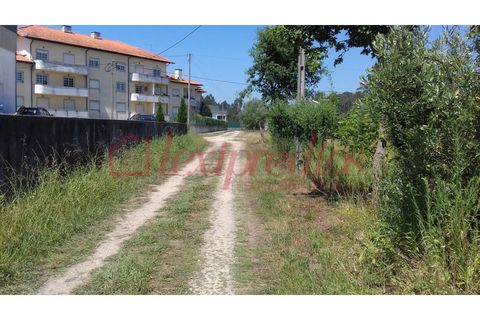 Helårsgrund i Agueda, Aveiro, Agueda - € 35.000 | Ref: AG 3465 - foto 3