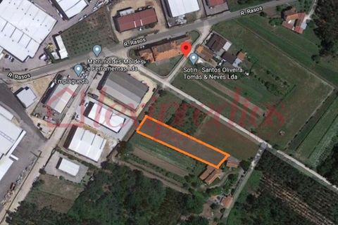 Helårsgrund i Agueda, Aveiro, Agueda - € 35.000 | Ref: AG 3465 - foto 6