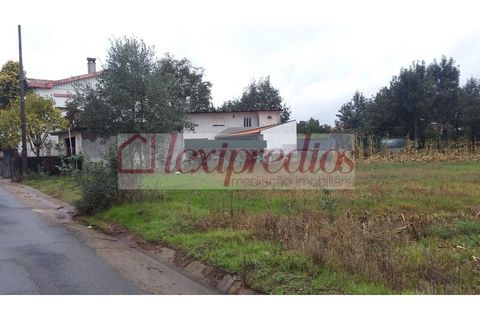 Helårsgrund i Aguada de Cima, Aveiro, Aguada de Cima - € 52.000 | Ref: AG 3224 - foto 2