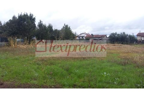 Helårsgrund i Aguada de Cima, Aveiro, Aguada de Cima - € 52.000 | Ref: AG 3224 - foto 3