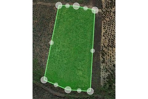 Helårsgrund i Agueda, Aveiro, Agueda - € 21.500 | Ref: TER_149 - foto 9