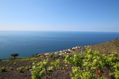 Finca i Salobrena, Granada, Salobrena - € 390.000 | Ref: 1371 - foto 1