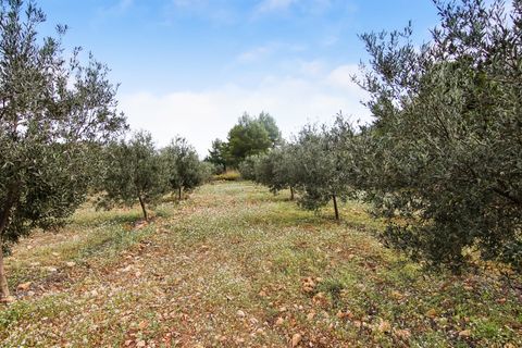Helårsgrund i Pedreguer, Alicante, Pedreguer - € 225.000 | Ref: ES-CAL-010186 - foto 3