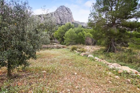 Helårsgrund i Pedreguer, Alicante, Pedreguer - € 225.000 | Ref: ES-CAL-010186 - foto 4