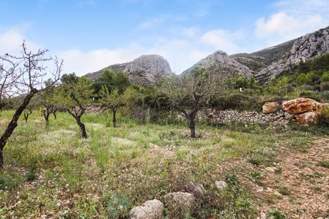 Helårsgrund i Pedreguer, Alicante, Pedreguer - € 225.000 | Ref: ES-CAL-010186 - foto 5