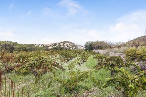 Helårsgrund i Pedreguer, Alicante, Pedreguer - € 225.000 | Ref: ES-CAL-010186 - foto 7