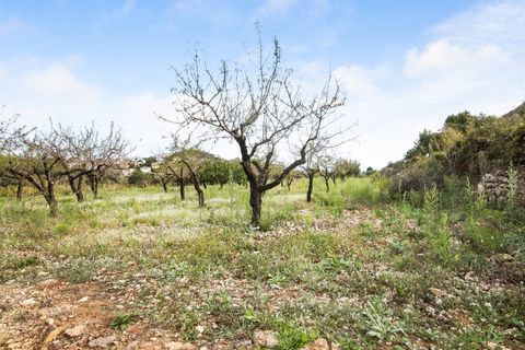 Helårsgrund i Pedreguer, Alicante, Pedreguer - € 225.000 | Ref: ES-CAL-010186 - foto 8