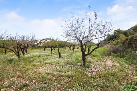Helårsgrund i Pedreguer, Alicante, Pedreguer - € 225.000 | Ref: ES-CAL-010186 - foto 10