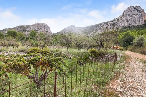 Helårsgrund i Pedreguer, Alicante, Pedreguer - € 225.000 | Ref: ES-CAL-010186 - foto 11