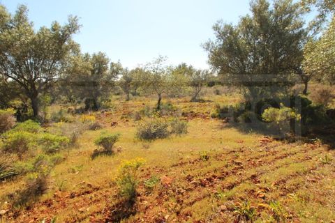 Helårsgrund i Silves, Faro, Silves - € 69.000 | Ref: STC2408 - foto 1