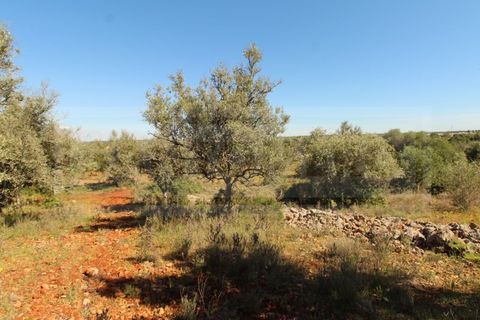 Helårsgrund i Silves, Faro, Silves - € 69.000 | Ref: STC2408 - foto 2