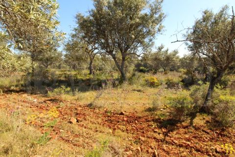 Helårsgrund i Silves, Faro, Silves - € 69.000 | Ref: STC2408 - foto 3