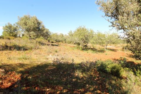 Helårsgrund i Silves, Faro, Silves - € 69.000 | Ref: STC2408 - foto 4