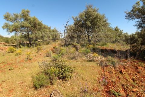 Helårsgrund i Silves, Faro, Silves - € 69.000 | Ref: STC2408 - foto 5