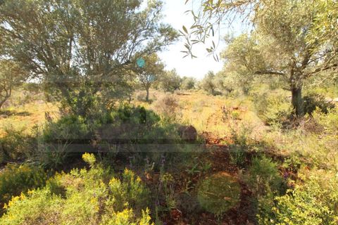 Helårsgrund i Silves, Faro, Silves - € 69.000 | Ref: STC2408 - foto 6
